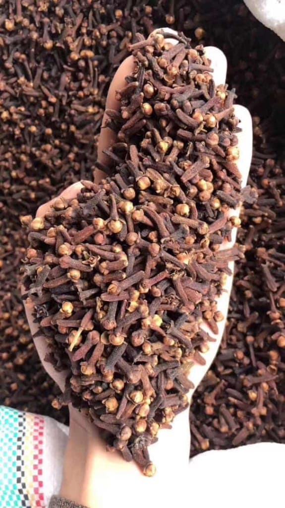 Clove